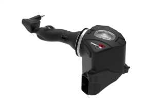 Momentum GT Pro DRY S Air Intake System 50-70066D